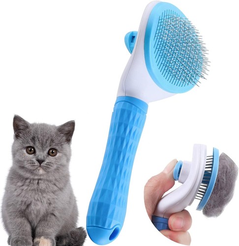 Cat dog self cleaning - dog,