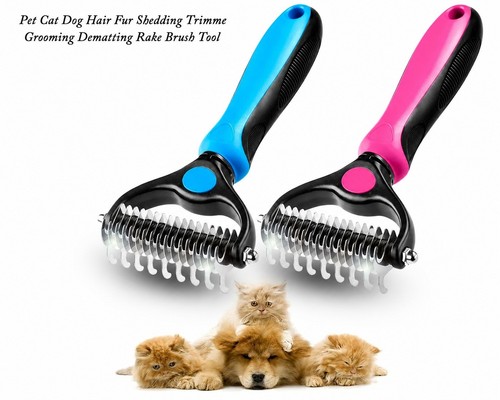 Professional pet grooming - professional,