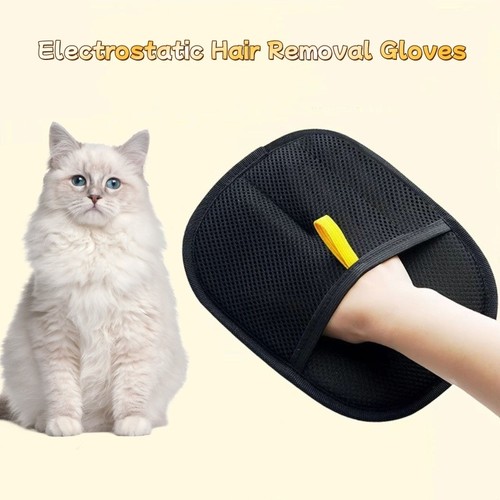 Pet hair removal glove - hair, dog