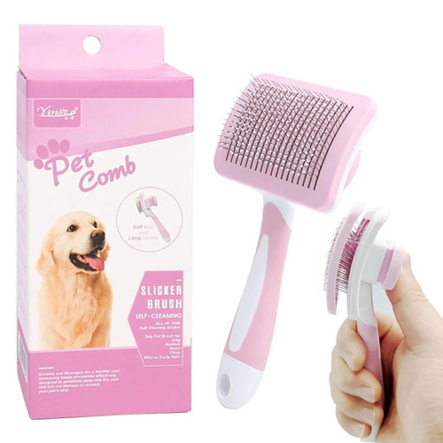 Pet dog cat - pet,