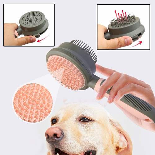Self cleaning pet grooming - pet,