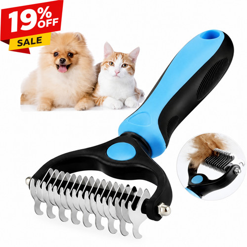 Professional dog cat grooming - cat,
