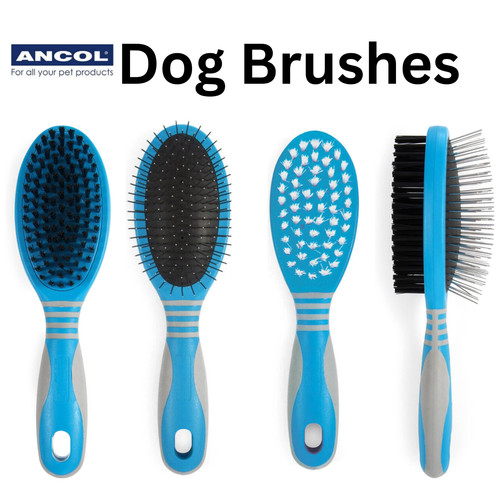 Ancol ergo dog cat grooming - cat,