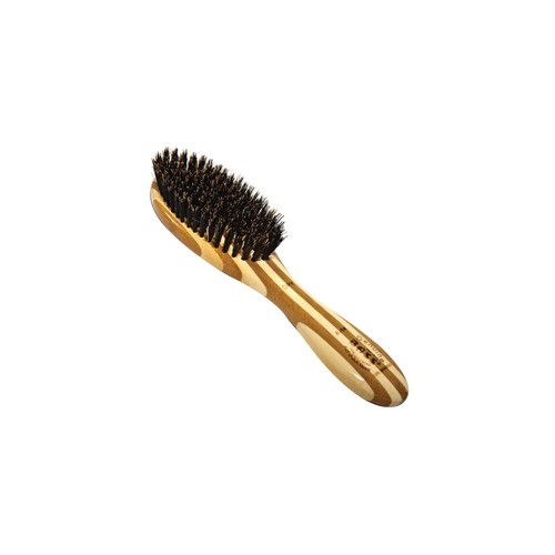 Bass boar bristle dog - dog, |