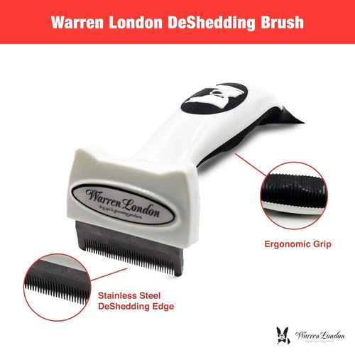 Short hair dog deshedding - dog,